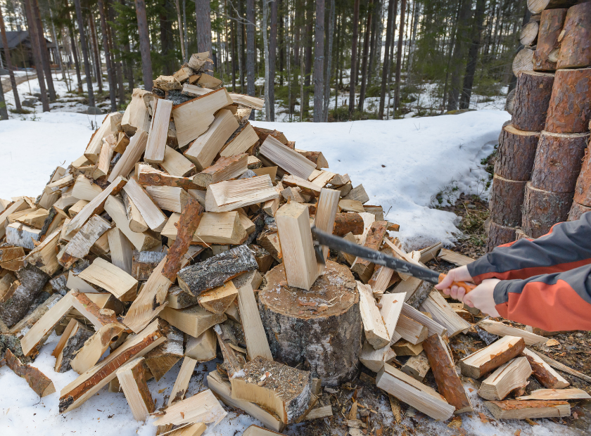 spring wood cutting