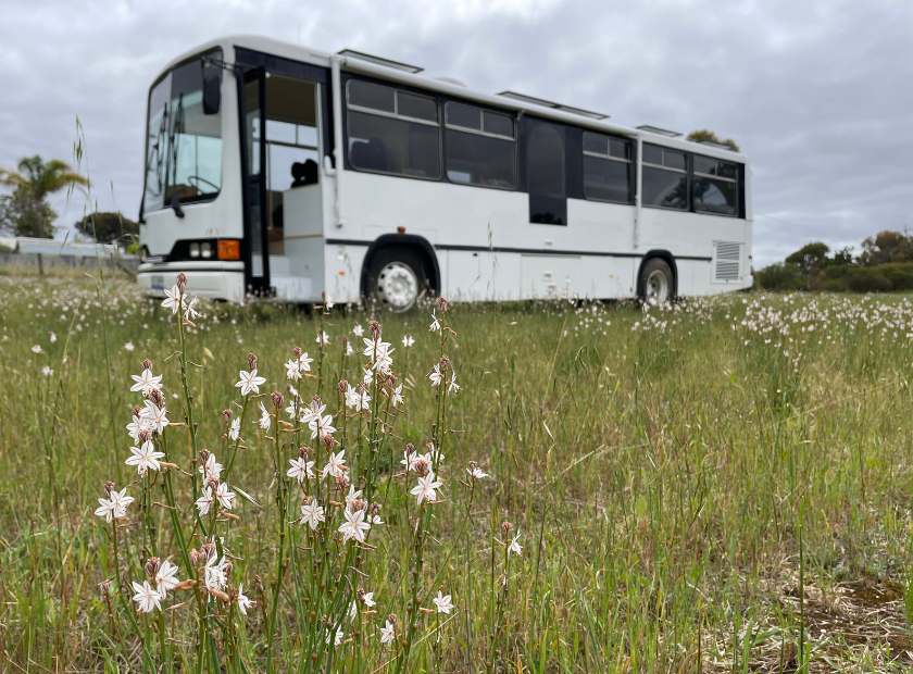 Wandering Wells Bus