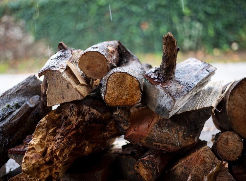 Wet wood pile